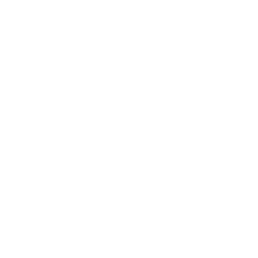 Production & Content Creation